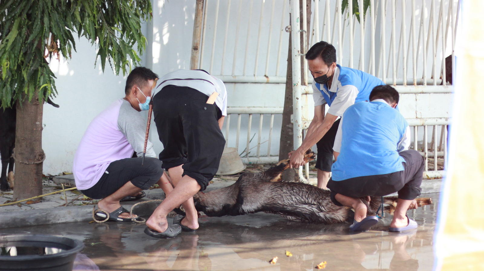 Iduladha Yayasan Al Muslim5