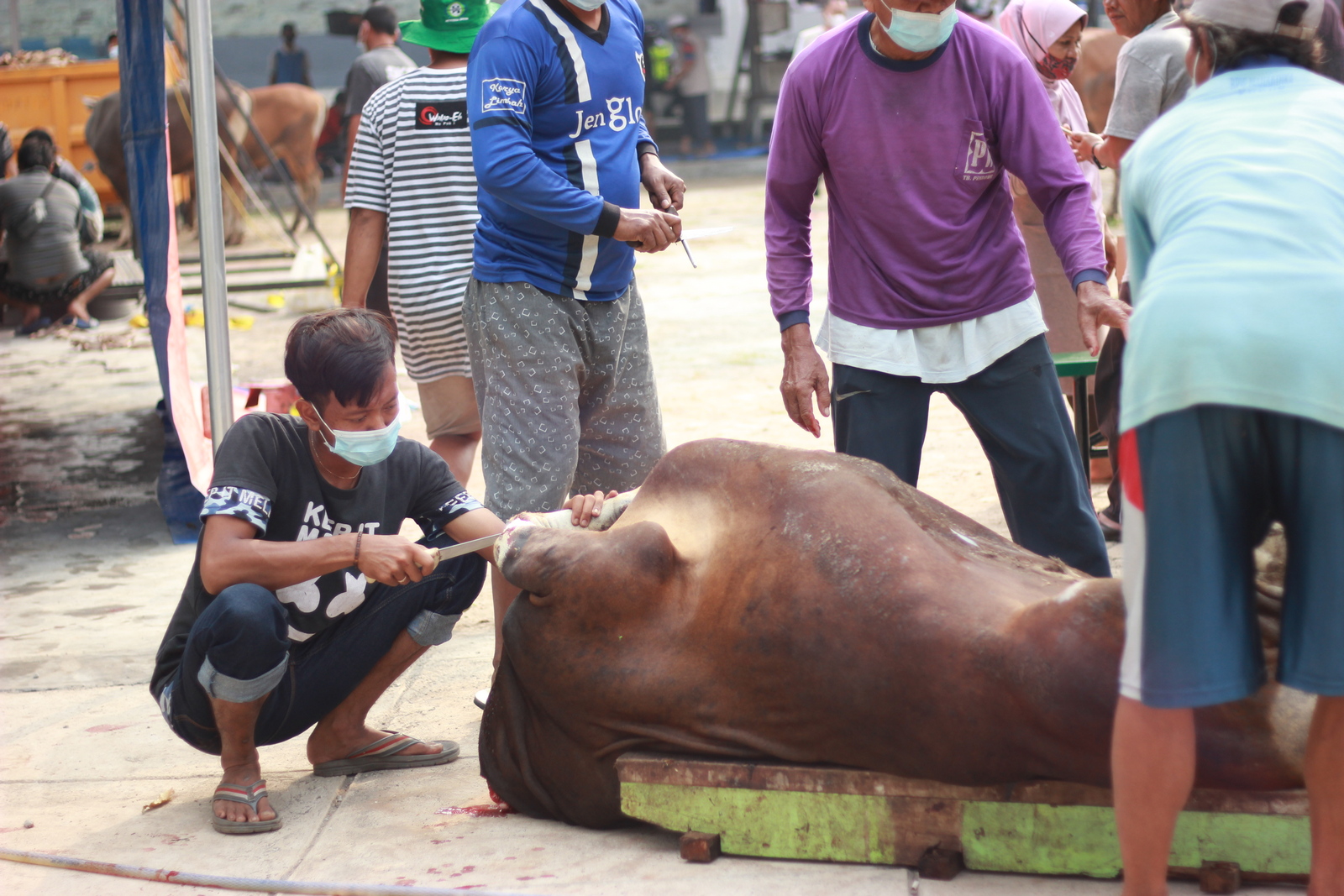 Iduladha Yayasan Al Muslim