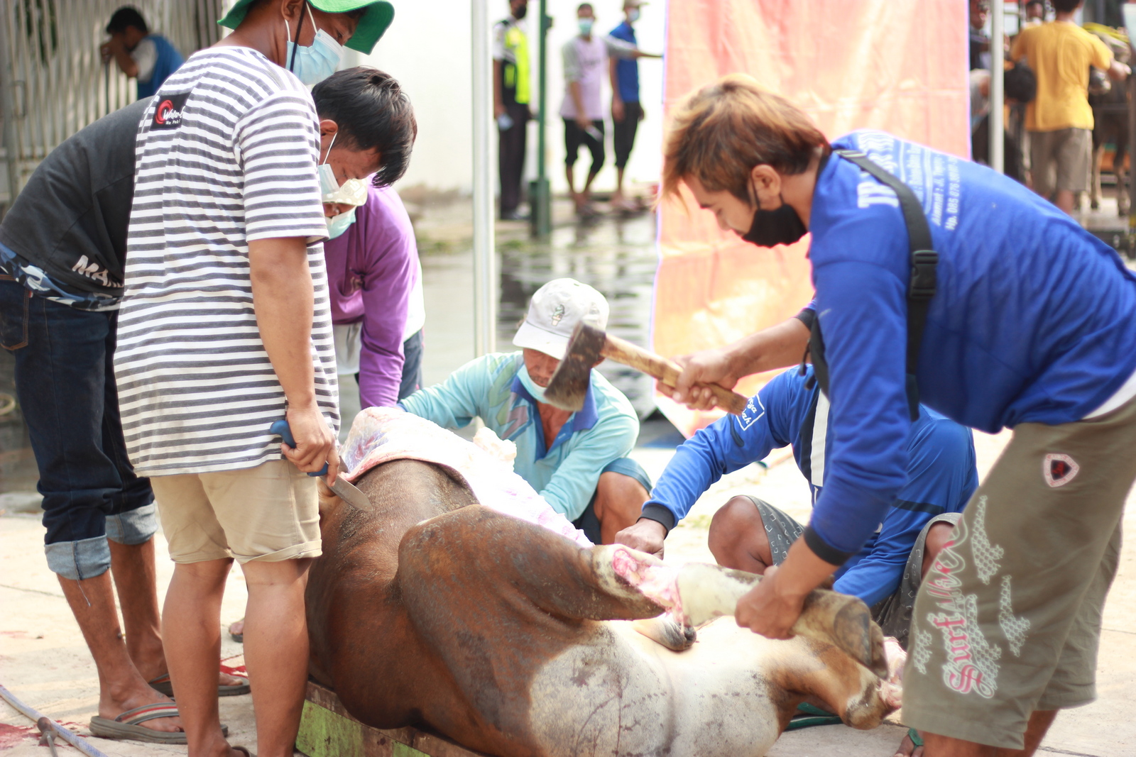 Distribusi Daging Kurban Yayasan Al Muslim