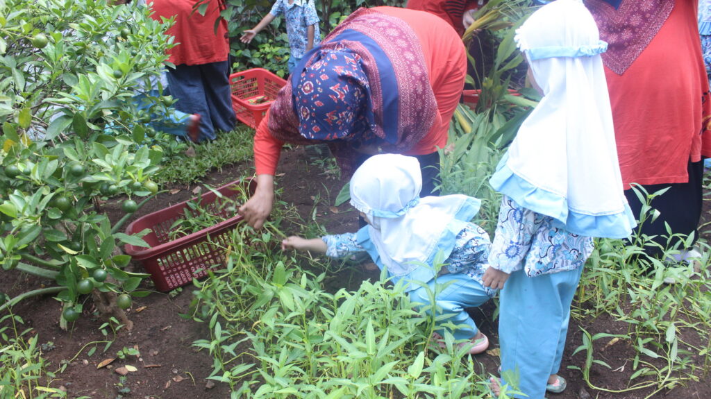 Panen dan Market Day PG-TK Al Muslim