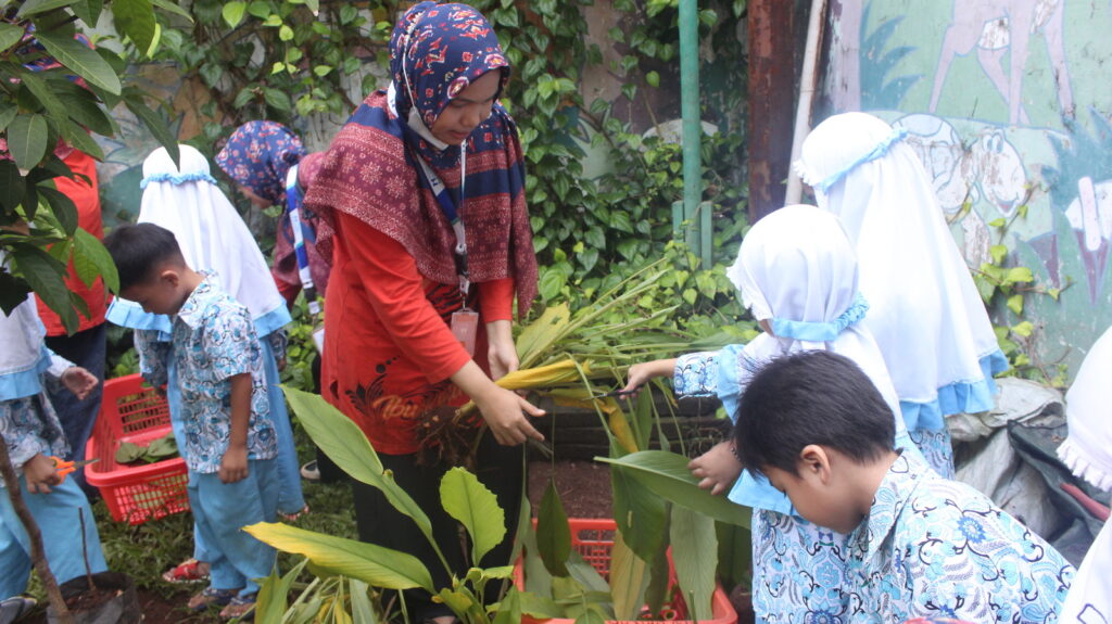 Panen dan Market Day PG-TK Al Muslim