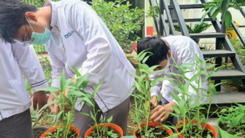 Green Education